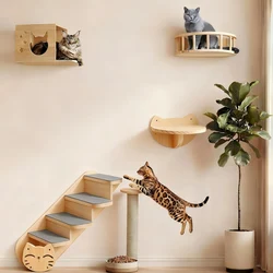 Árbol rascador gatos – Mueble elegante para adultos y Sphynx