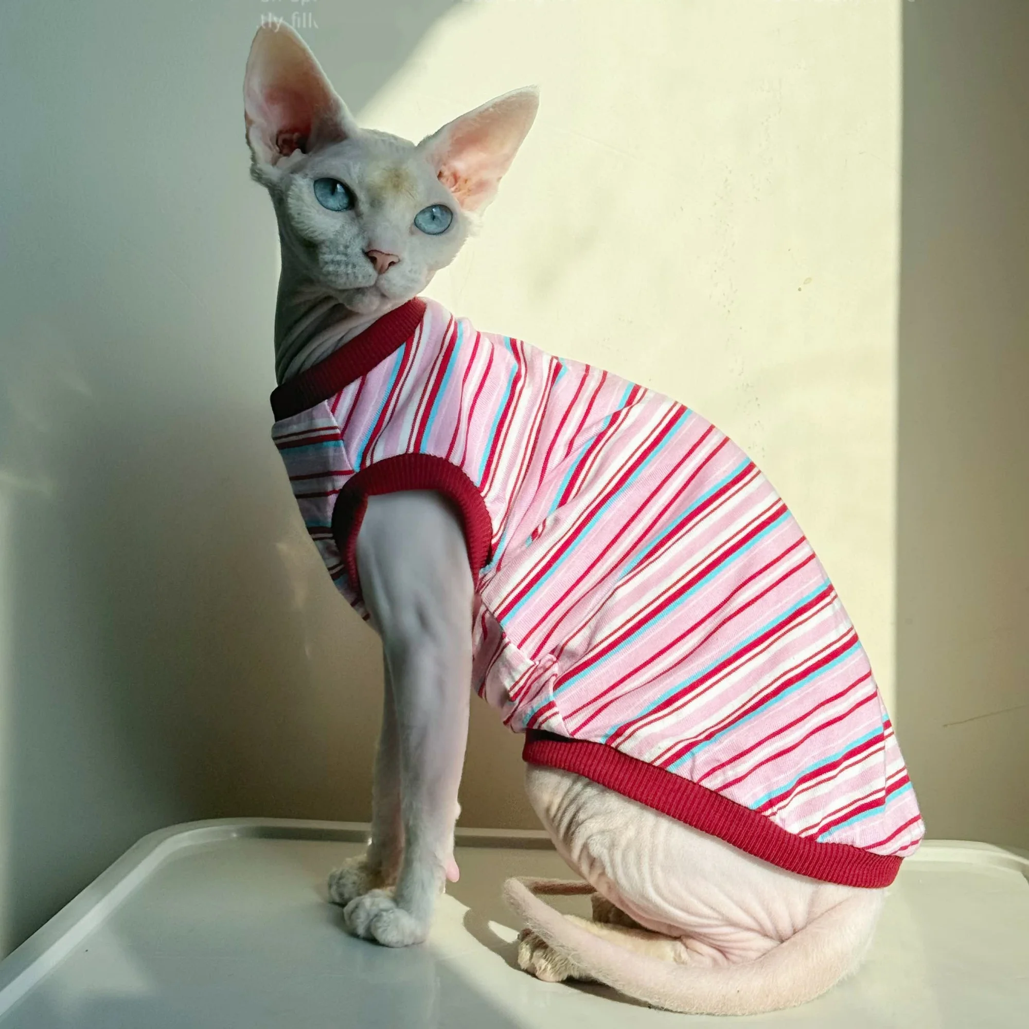 Camiseta para gatos Sphynx y Devon Rex de algodón a rayas sin pelo - imagen 4