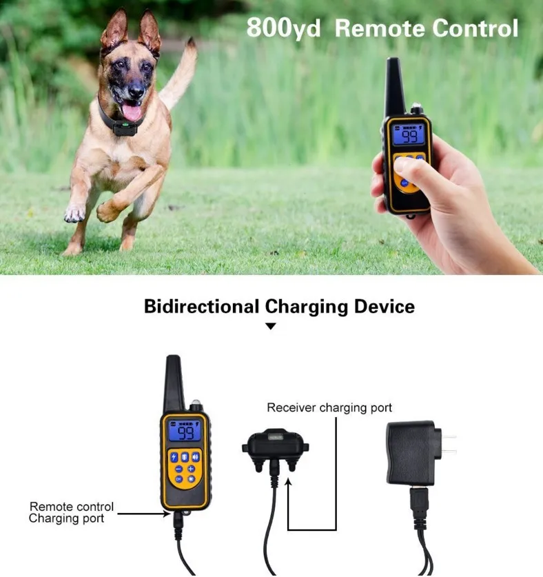 Collar de entrenamiento eléctrico para perros de 800m, resistente al agua, con Control remoto para mascotas, Collar de entrenamiento recargable para perros con sonido de vibración y choque - imagen 3