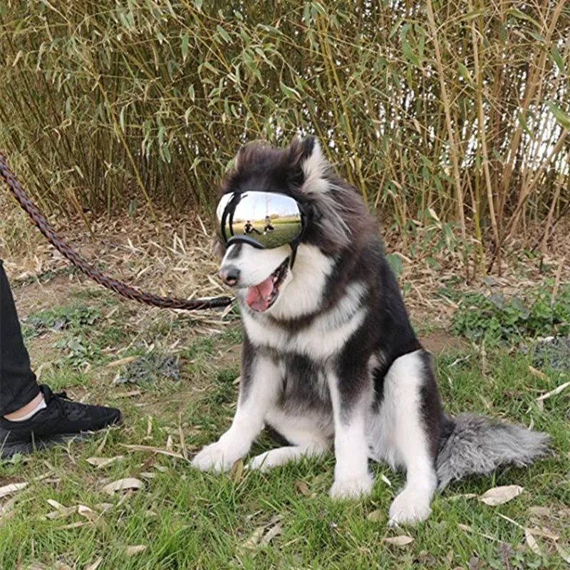 1 suministros para mascotas, gafas magnéticas para mascotas, gafas magnéticas para perros medianos y grandes, gafas de sol con protección UV a prueba de viento y nieve - imagen 4
