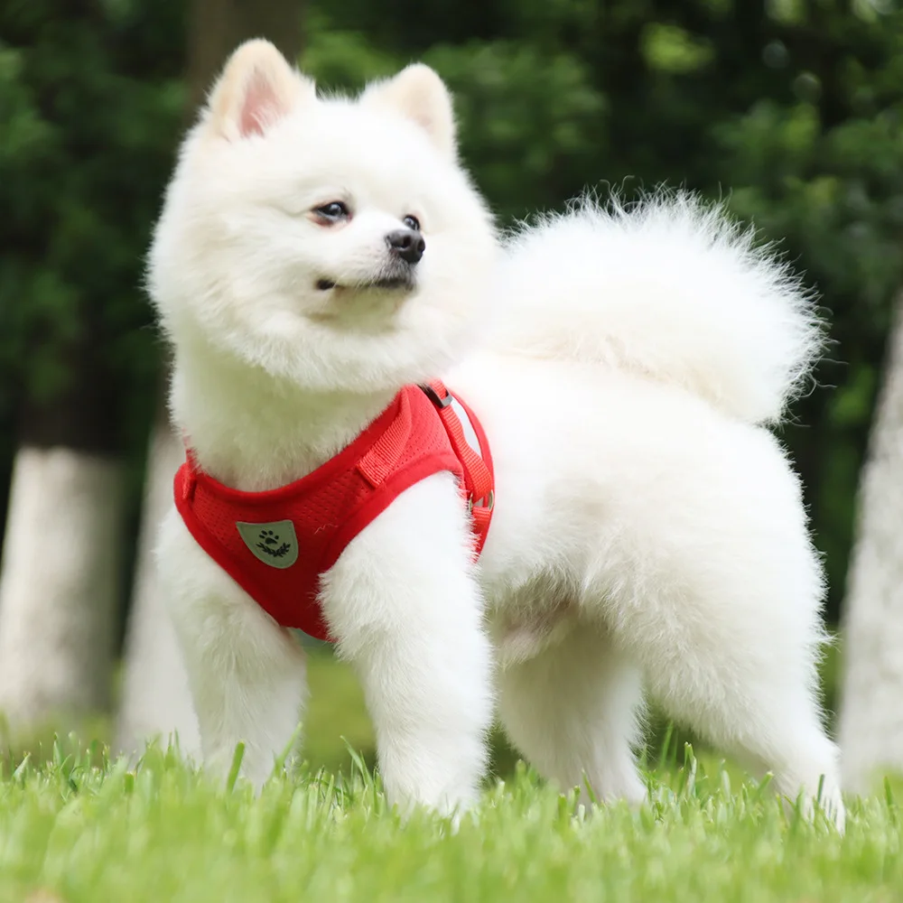 CDDMPET Juego de arnés y correa para perros, arneses para adiestramiento al aire libre, chaleco deportivo de seguridad para cachorros, arnés para mascotas para perros pequeños y gatos - imagen 4