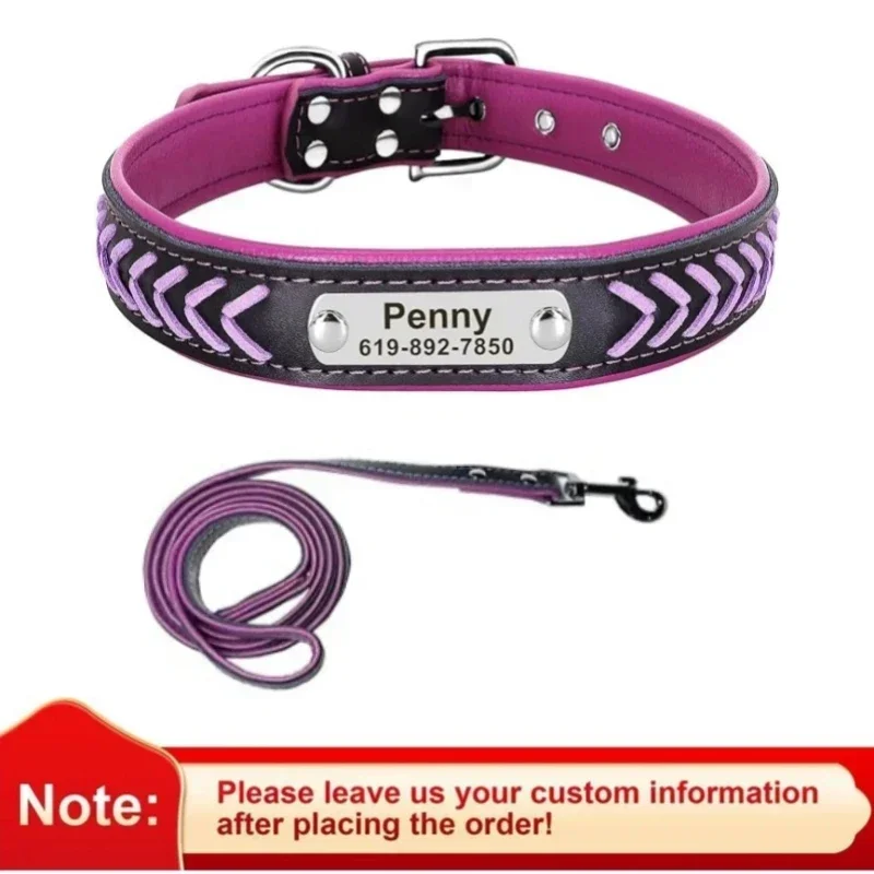 Purple and Leash