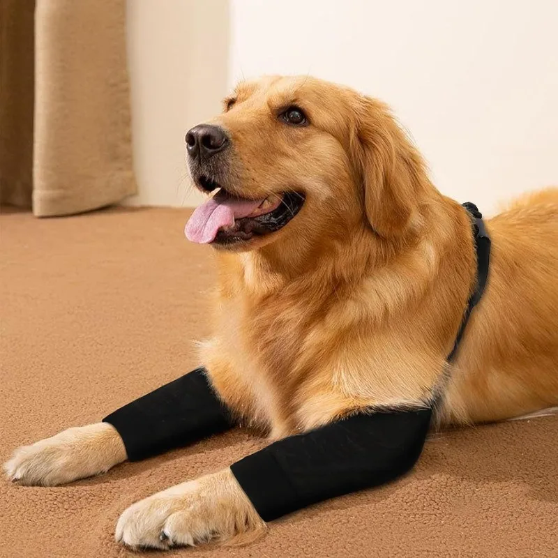 Protectores de ropa para mascotas, correa de ayuda para lesiones en la pierna delantera del perro, calentadores de piernas ventilados, correas de recuperación, productos para articulaciones de piernas para mascotas, accesorios - imagen 2