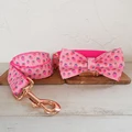 Bow Tie Collar Leash
