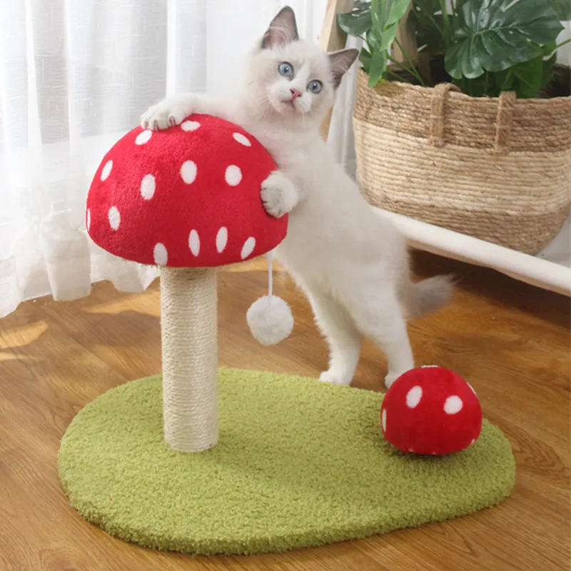 Rascador gatos marco escalada - vista principal