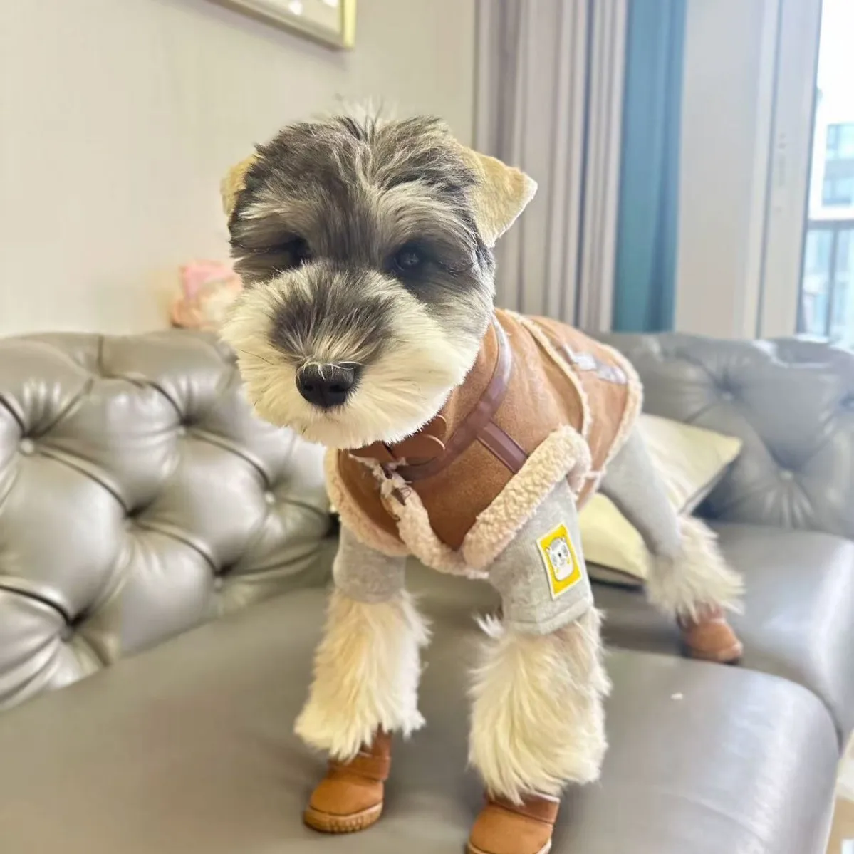 Camisa inferior de cuatro patas con cuello alto para otoño e invierno para mascotas, camisa inferior de cuatro patas para perros, Schnauzer, oso, Teddy, pijamas para perros, ropa para cachorros - imagen 4