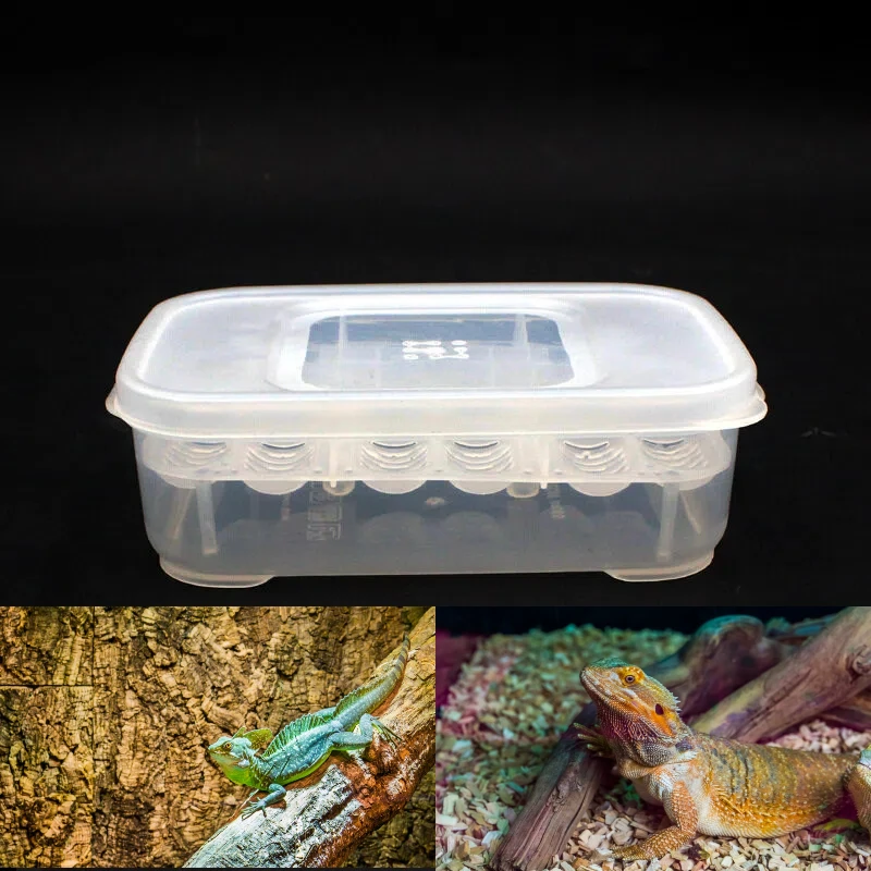 Caja de escotilla de 12 rejillas, bandeja para huevos de reptil, lagarto, serpiente, dispositivo para incubar huevos, escalada, mascota, tortuga, suministros para incubadora
