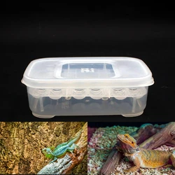Incubadora para huevos de reptiles con bandeja y rejillas