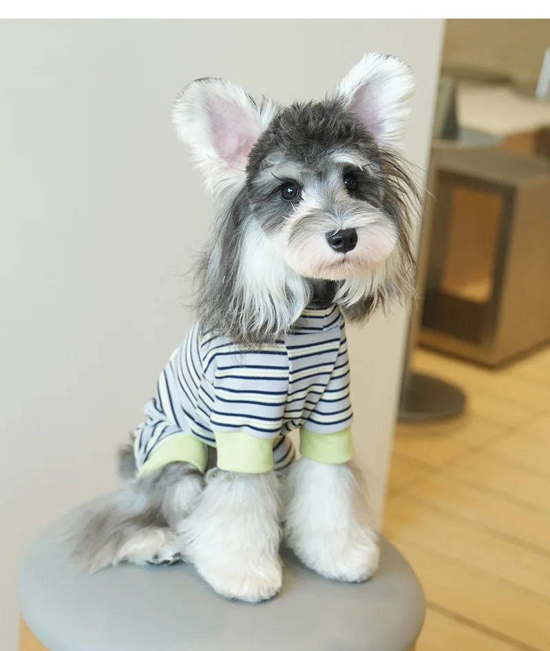 Ropa a rayas para perros para otoño e invierno, suave capa Base de cuatro patas, mono para perros, camiseta cálida para el cuerpo, jersey para perros, ropa - imagen 5