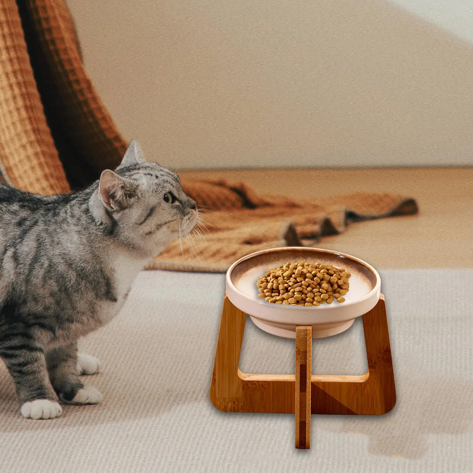 Raised Cat Bowl, Snack Container, Food Container, Prevents Spills, Anti-Function