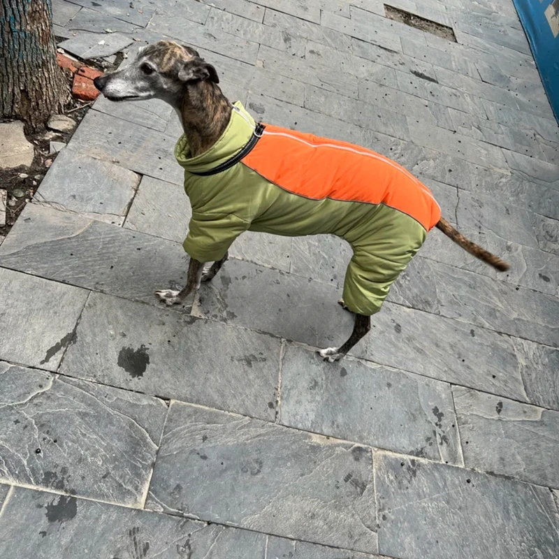 Ropa de invierno para perros grandes, abrigo cálido para mascotas, chaqueta impermeable, ropa Reversible para Galgo, Golden Retriever, ropa de Labrador - imagen 5