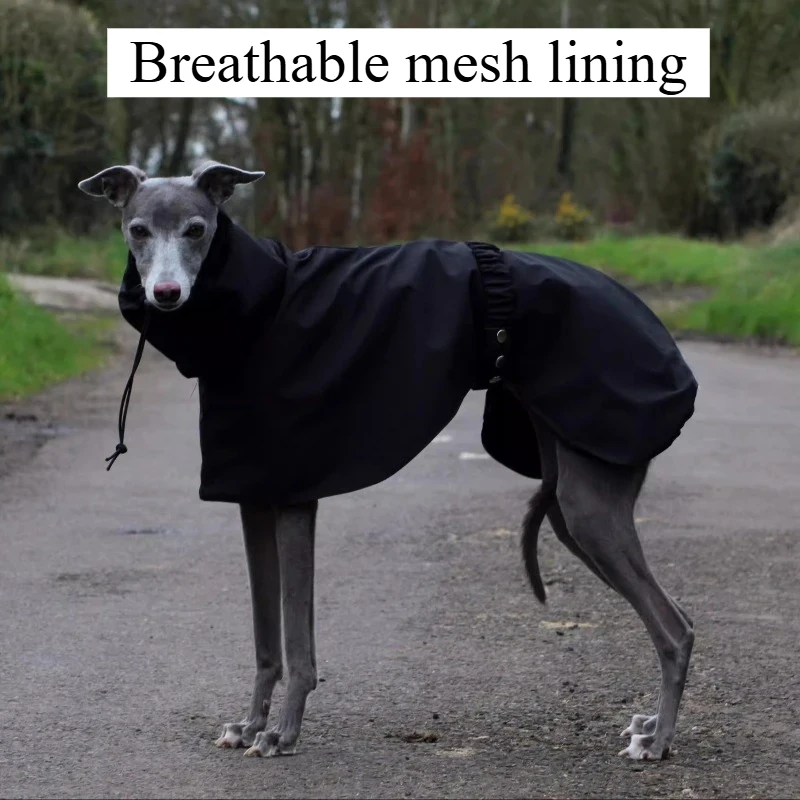 Chubasquero impermeable para perros grandes - Whippet - imagen 4