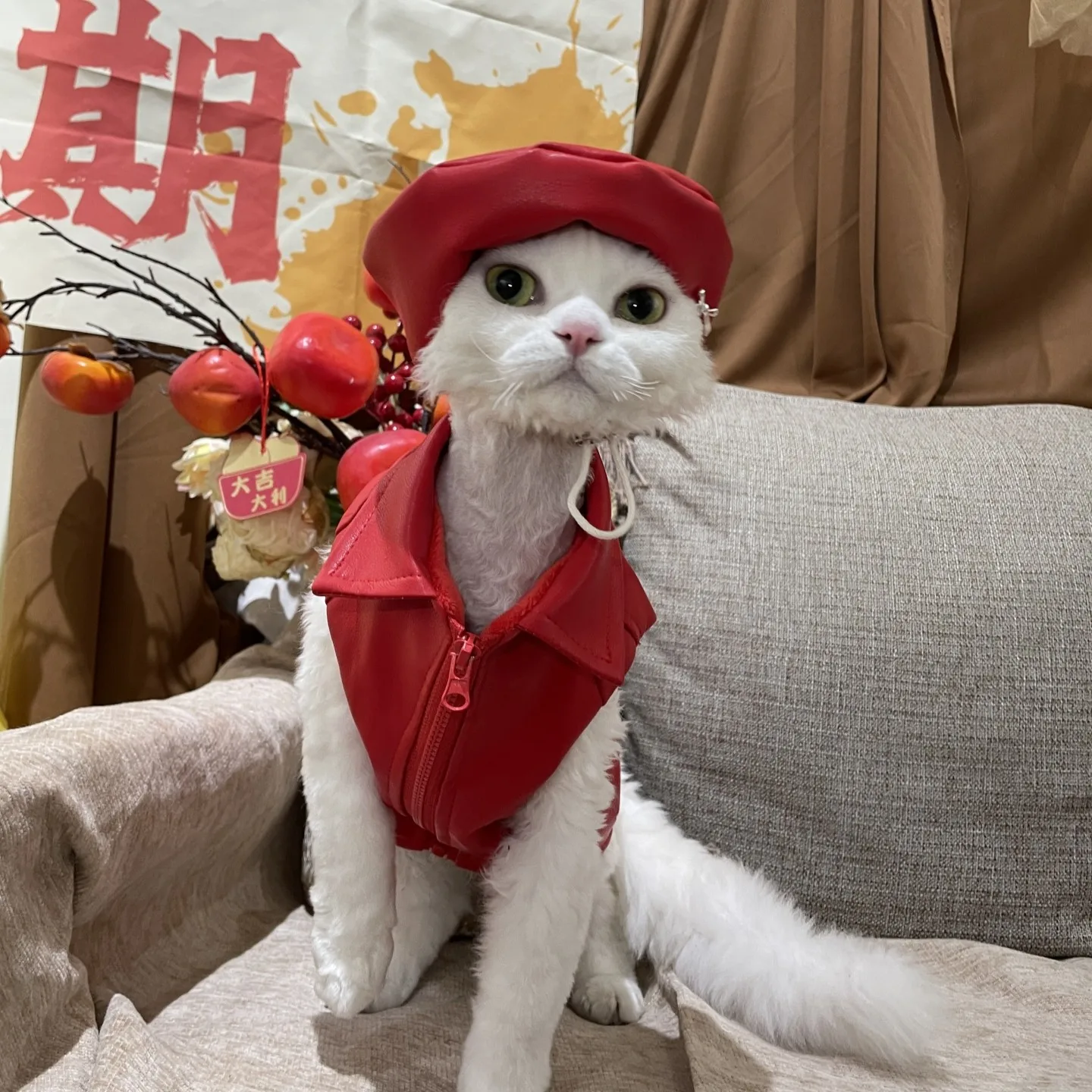 Chaqueta de invierno de cuero PU para gatos Sphynx y Devon Rex - imagen 2