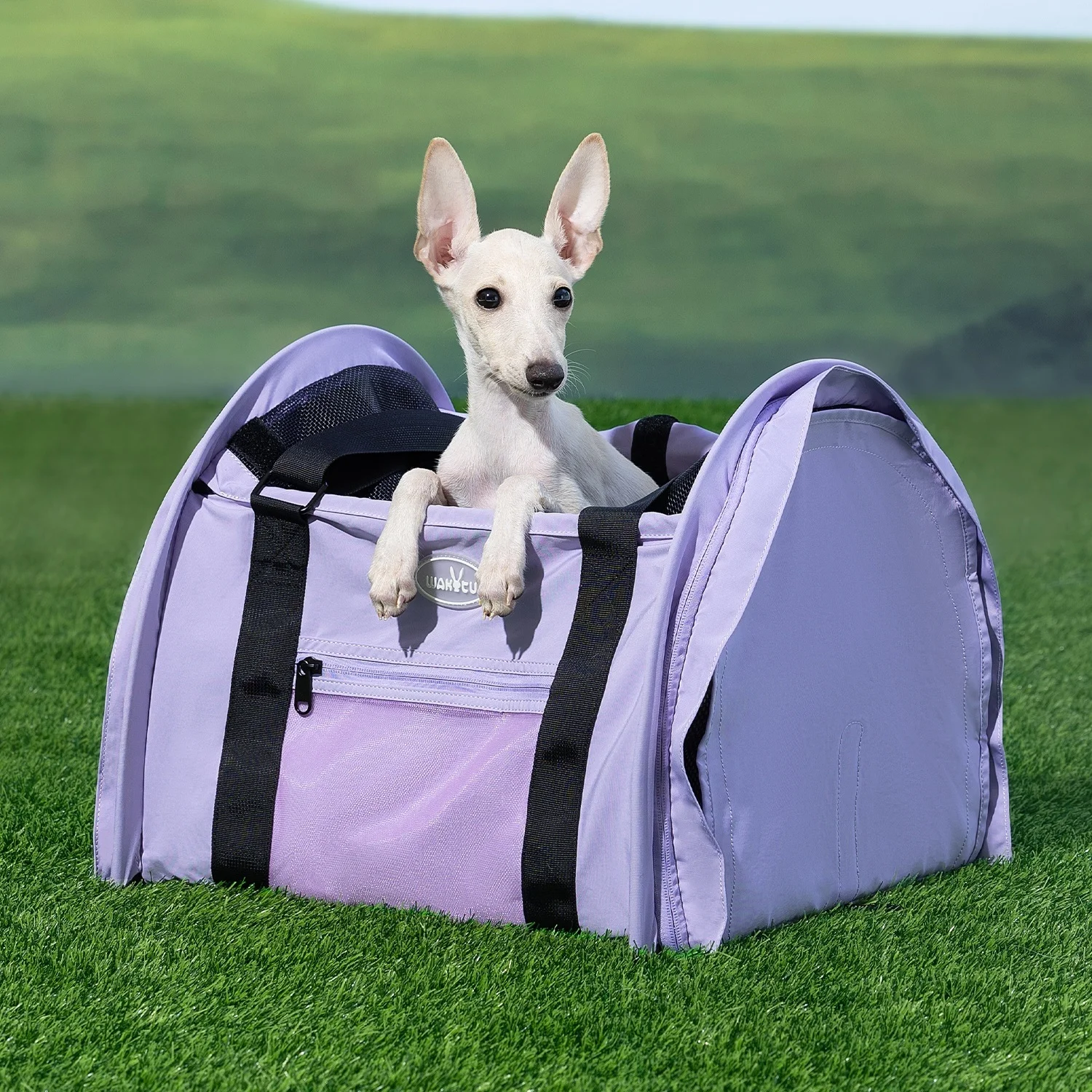 Bolsa de transporte de cara suave para mascotas, bolsa plegable de gran capacidad para exteriores, bolsa para gatos, transpirable, aprobada por aerolínea, bolsa para mascotas, transportador de perros morado - imagen 2
