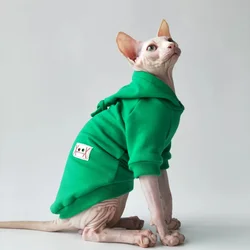Disfraz gato Halloween Sphynx con sombrero de bruja abrigo invierno