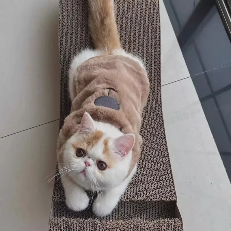 Chaqueta de lana con estampado bonito para Gato, abrigo cálido para perro y gato, monos, ropa para cachorro y gato, ropa de dos patas, ropa para perros pequeños, invierno - imagen 2