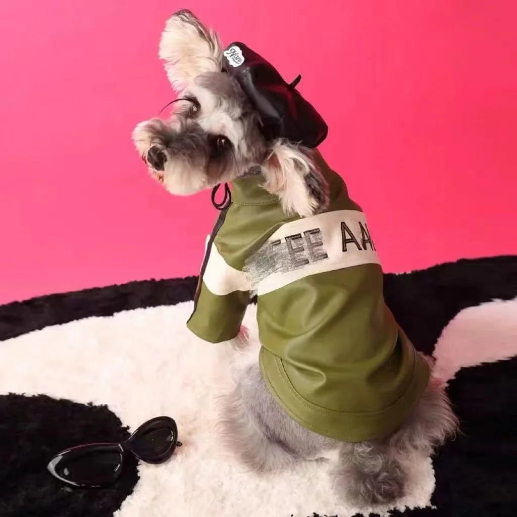 Ropa de otoño e invierno para perros, chaqueta Yorkshire Schnauzer, oso de peluche, abrigo para perros, ropa para cachorros, ropa de diseñador para perros, abrigo de invierno - imagen 3