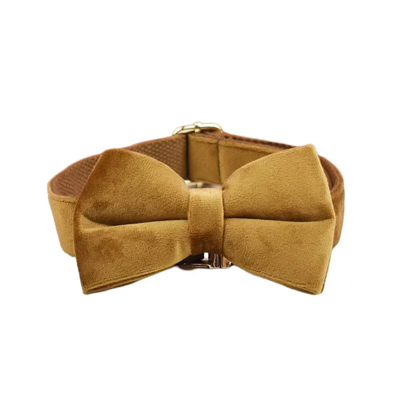 Bow Collar