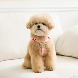 Arnés y correa para perros pequeños y medianos - Bichón y Schnauzer