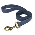 Blue Leash