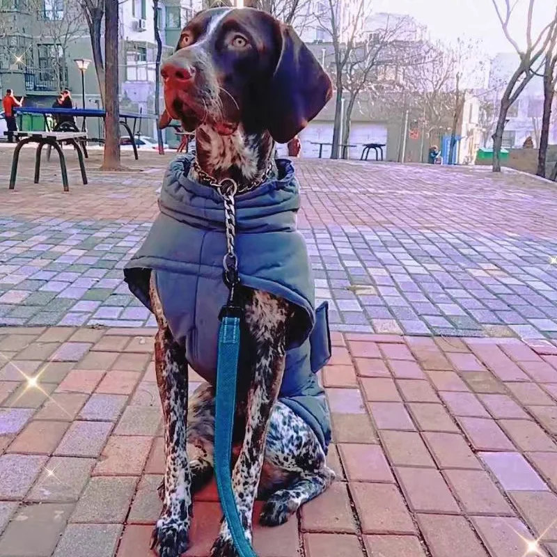 Ropa de invierno para perros, chaqueta reflectante impermeable para mascotas, para perros pequeños y medianos, Bulldog Francés, Golden Retriever, traje de capa de lluvia - imagen 5