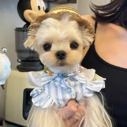 Vestido princesa de burbuja para perros mini y cachorros