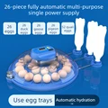 26Eggs single power