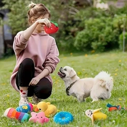 Set de juguetes masticables con sonido y peluche para cachorros