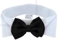 Double bow tie3