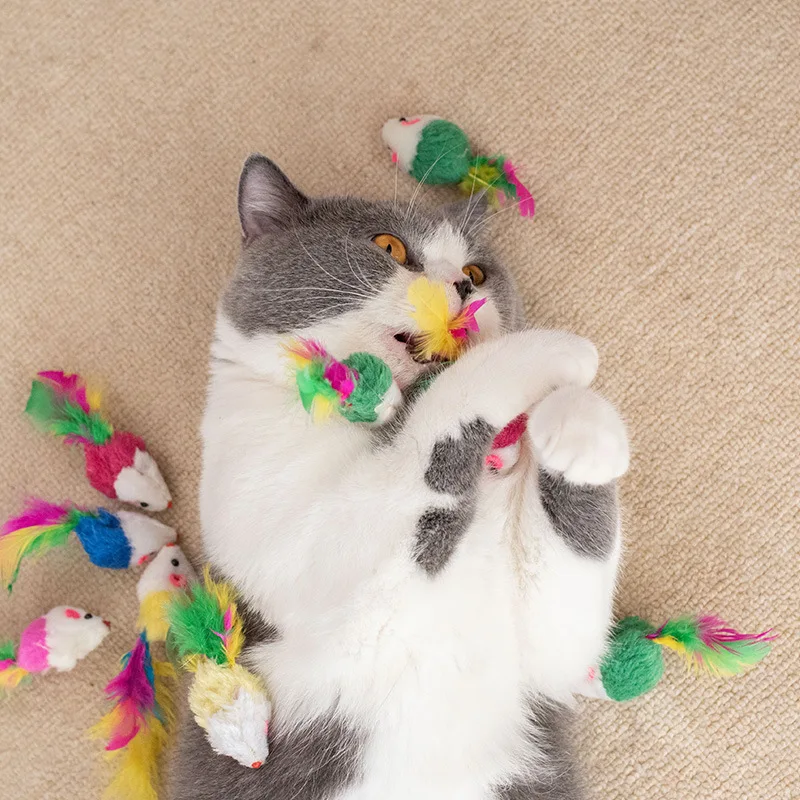 5/10 Uds. De juguetes de peluche para gato y ratón, piel de conejo, ratón falso, pluma, sonajero de arcoíris, juguete interactivo para gato, juguetes para gatito - imagen 3