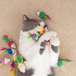 50/5 Uds. Juguetes de ratón de gato de peluche, juguetes de ratones falsos de plumas coloridas, juguete interactivo divertido para gatos, juguetes de juego para gatitos, accesorios para gatos