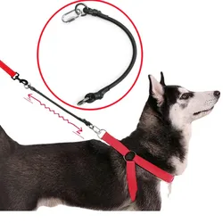 Correa extensible para perros con cuerda elástica – Seguridad al pasear