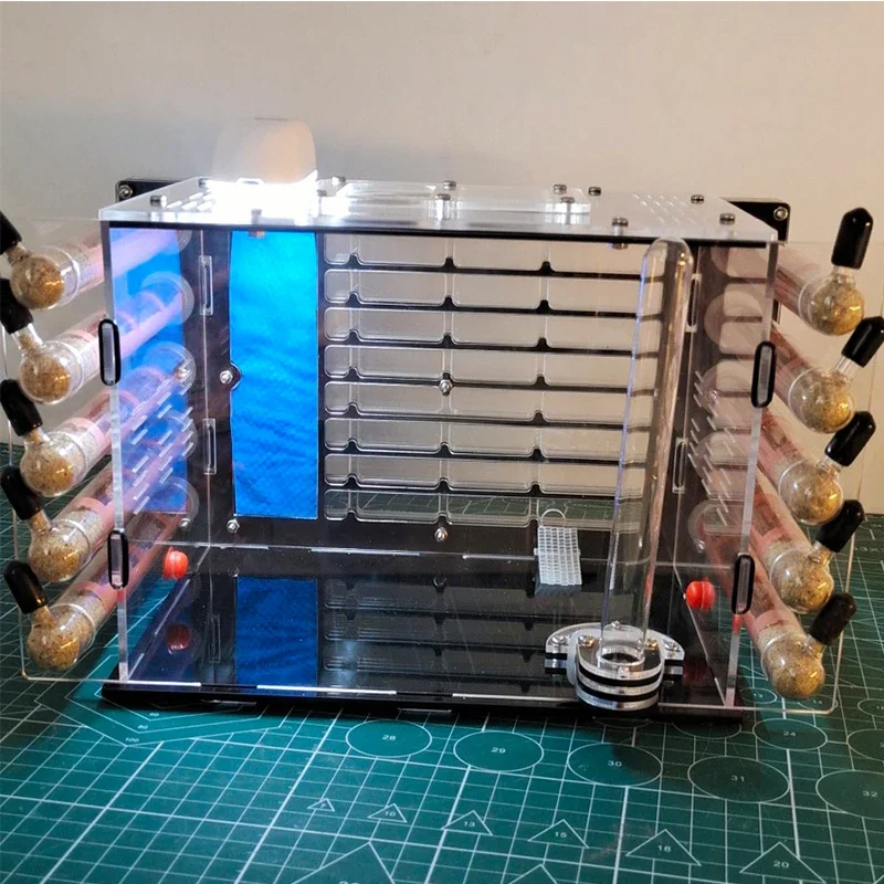 Granja de hormigas acrílicas, tubo de ensayo de bambú DIY, nido de hormigas, insecto, Hotel, mascota, antill, pueblo con gran área de caza, casa de hormigas, perrera, taller - imagen 3