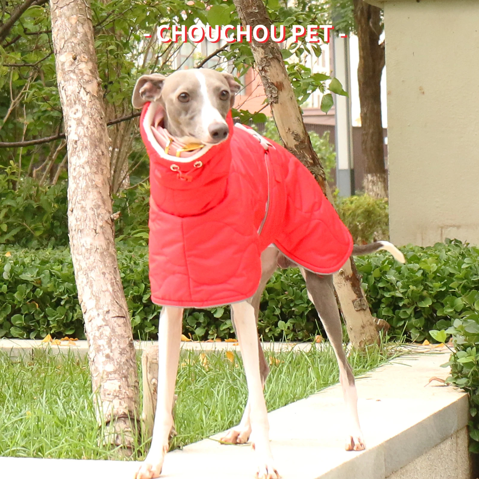 Whippet Greyhound Iggy Sighthound Abrigo de invierno engrosado Abrigo para perros pequeños, medianos y grandes - imagen 4