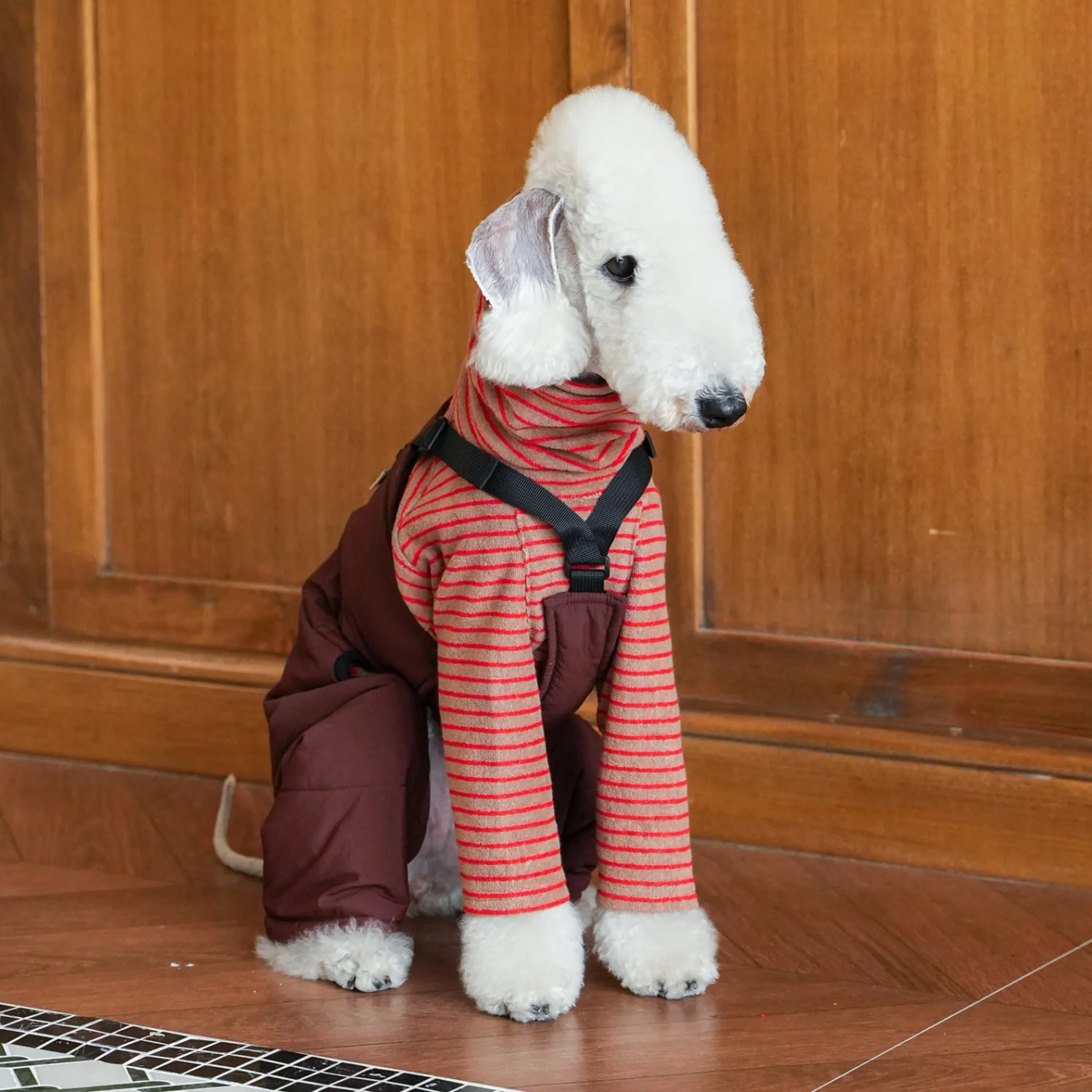 Mono cargo de algodón grueso y cálido para Bedlington Otoño Invierno Manga larga Camiseta de rayas rojas blancas Traje de pantalón suave para whippet Traje clásico de estilo británico para perros medios en clima frío - imagen 3