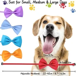 Collar lazo ajustable para perros y gatos