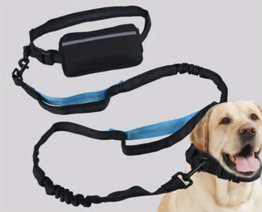 Conjunto de Collar y correa para perro, accesorios para correr, caminar, traje de manos libres reflectante, suministros para mascotas para perros - imagen 4