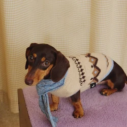 Jersey de punto para perro salchicha – Abrigo cálido artesanal