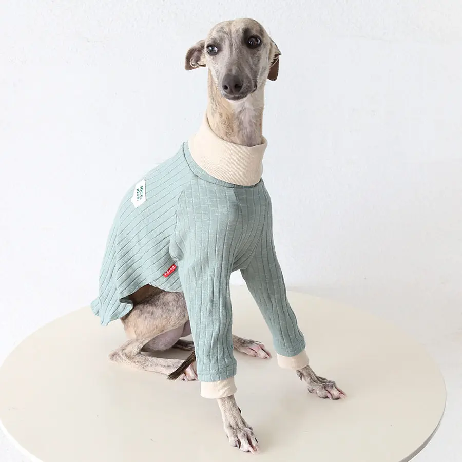 Ropa para perros verde: camiseta cuello alto primavera-verano - imagen 3