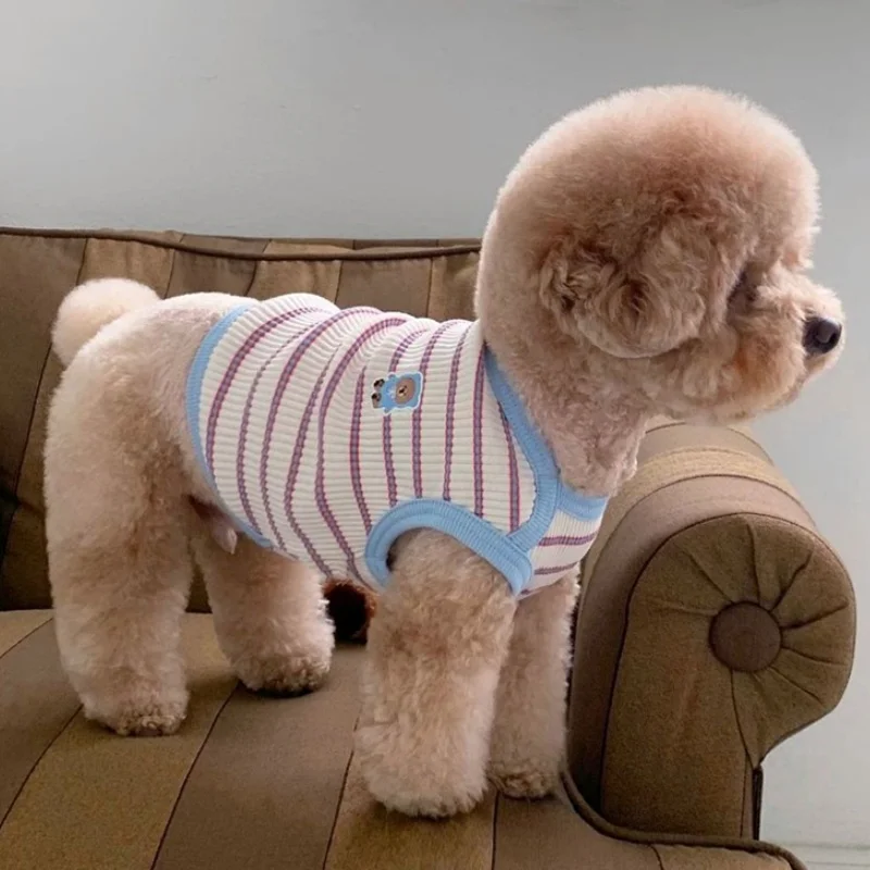 Ropa suave para perros pequeños, chaleco para perros a rayas de verano, jerséis para cachorros, chaleco fino bonito para gatos, disfraces para mascotas, camiseta para perros - imagen 3