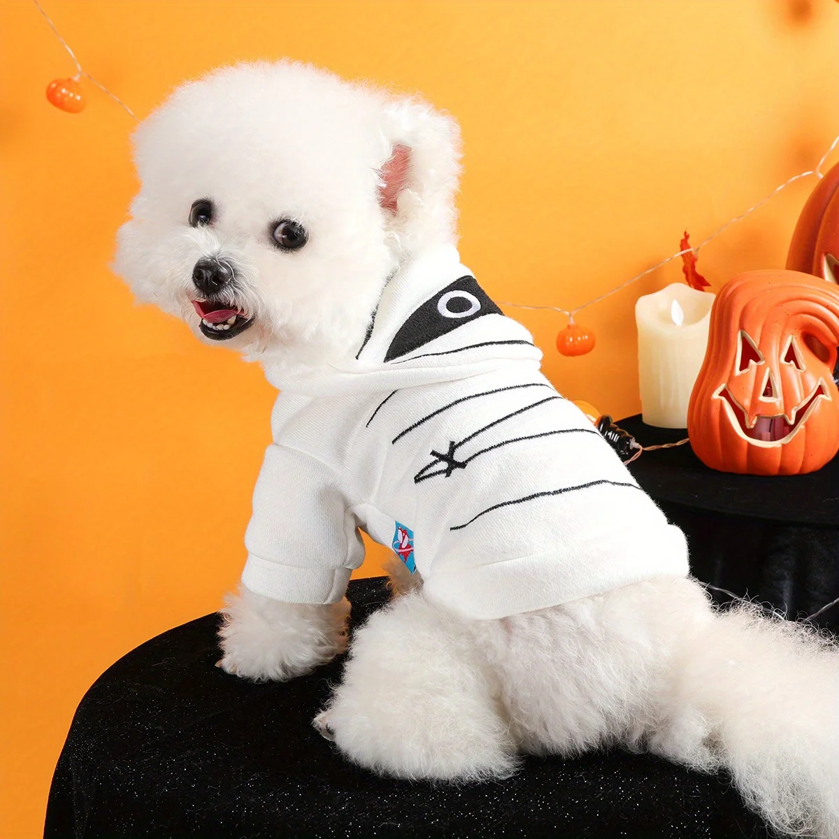Suéter de Halloween para mascotas, chaqueta con capucha blanca cálida con botones abiertos y bordado divertido, ropa suave para mascotas para perros y gatos para perros pequeños - imagen 5