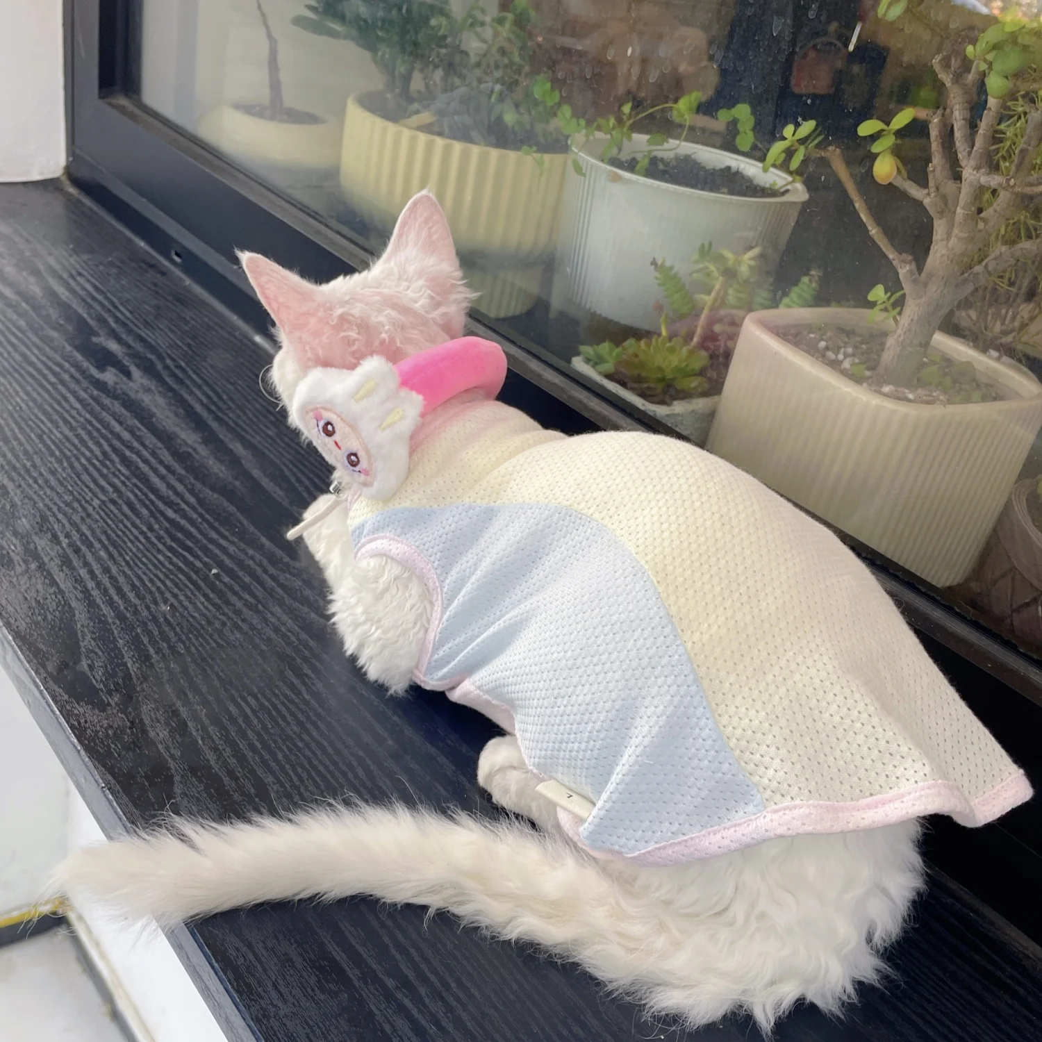 Ropa para gatos, chaleco de malla de algodón con peso ligero para gato Sphnx, camiseta de manga corta para gatitos en verano, abrigo fino Devon Rex - imagen 2