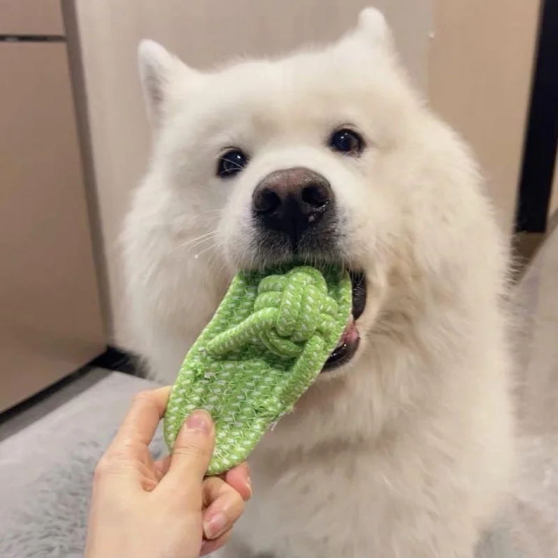 Juguete de algodón interactivo para masticar y salud dental en perros - imagen 4