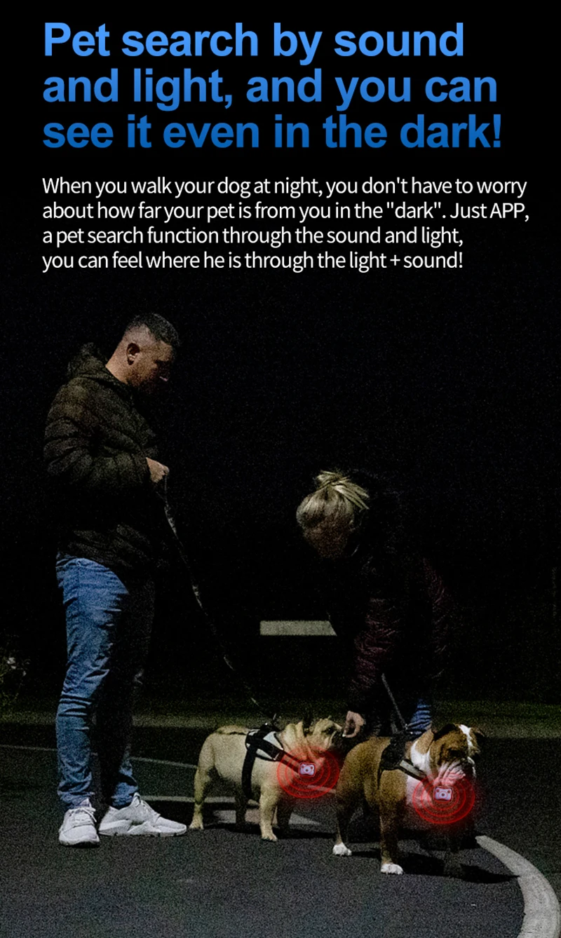 Un hombre y una mujer paseando a sus perros por la noche