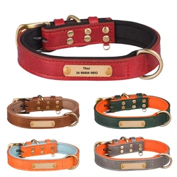 Collar de cuero acolchado con plaqueita grabada – Perros pequeños y medianos