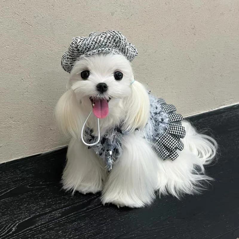 Sombrero Kawaii para perro y gato, bonito sombrero con pintura al óleo, tocado para gato, boina de lana de lujo para perros pequeños, Yorkshire, Teddy Schnauzer, Bichon Frise - imagen 2