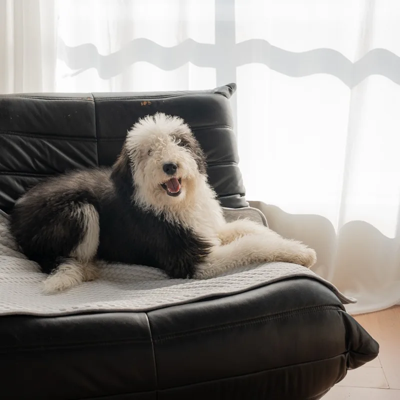 Esteras refrescantes sólidas para mascotas para perros, almohadillas suaves y frescas para cama para dormir, cojín para sofá para gatos, suministros de disipación de calor para el hogar, gatitos y cachorros - imagen 2