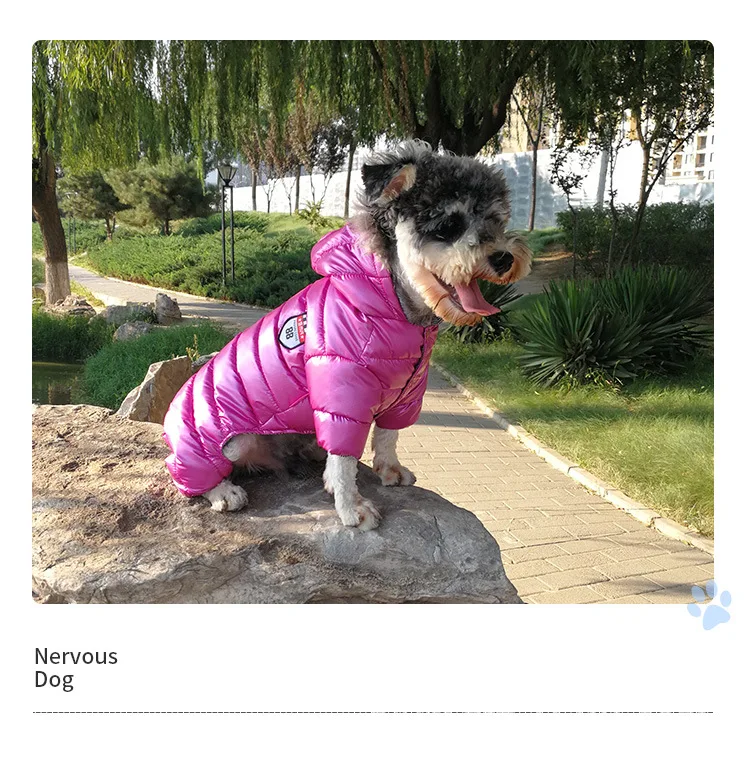 Pet Clothing _20.jpg