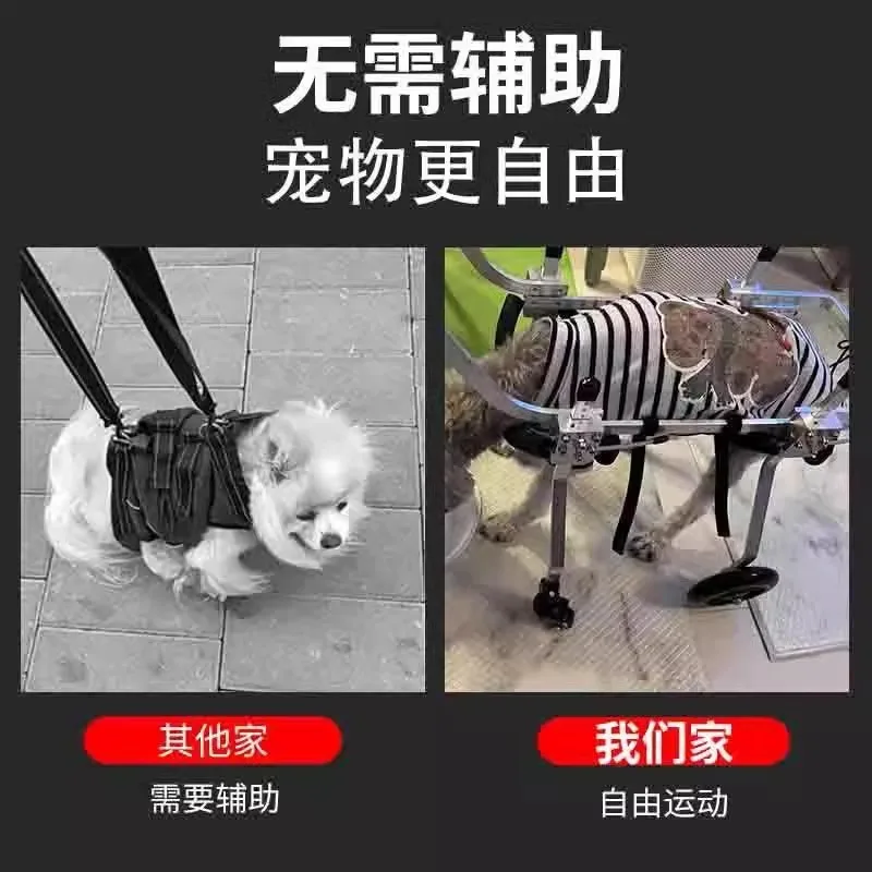 Silla de ruedas para perros – movilidad patas traseras - imagen 4