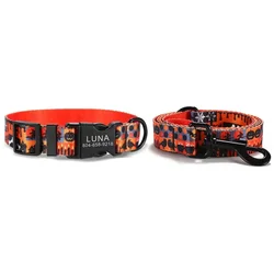 Collar con correa a juego para perro – Grabado personalizado gratis